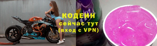 крисы Алагир