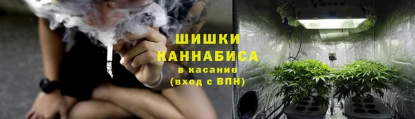 гидропоника Нягань