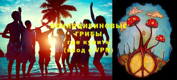 гидропоника Нягань