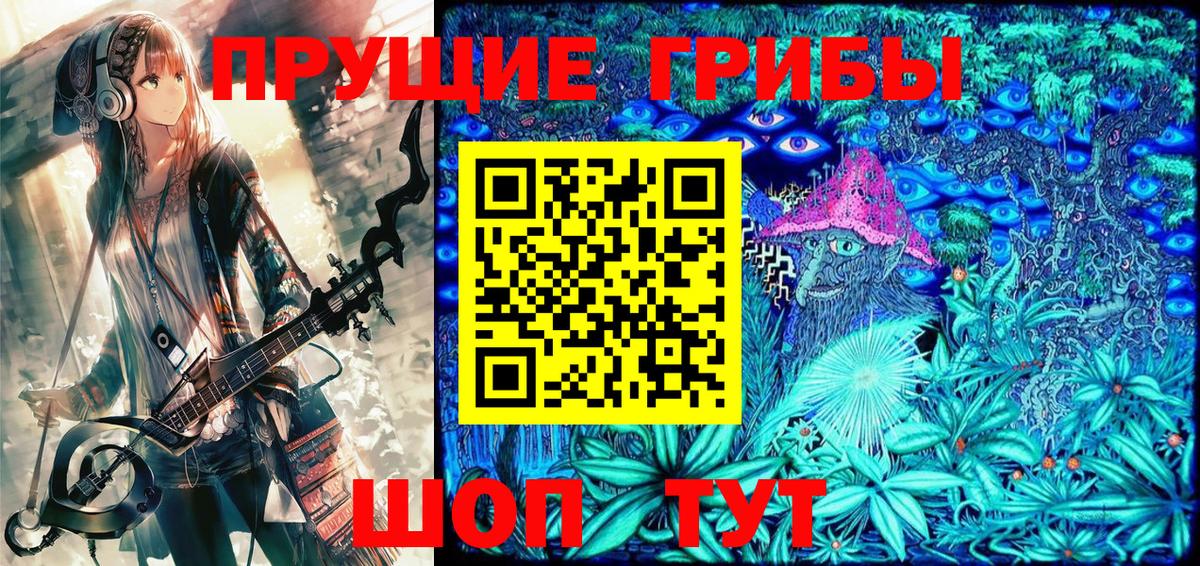Северодвинск  Псилоцибиновые грибы GOLDEN TEACHER  Вход с VPN 